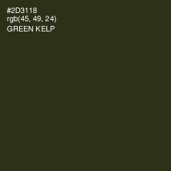 #2D3118 - Green Kelp Color Image